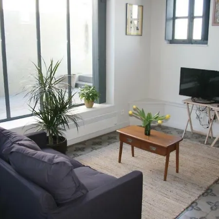 Les Toits Appartement Carcassonne